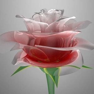 Meet your Posher, Rita